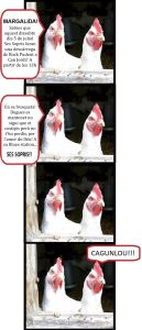 WhatsApp Image 2025-07-04 at 14.46.34